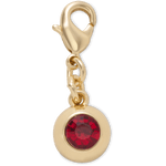 January Gem Charm - US 2612
